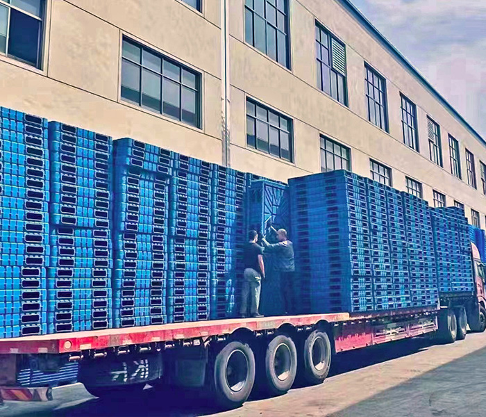 吹塑托盤選購(gòu)指南：?jiǎn)蚊鎂S雙面，如何做出*優(yōu)選擇？