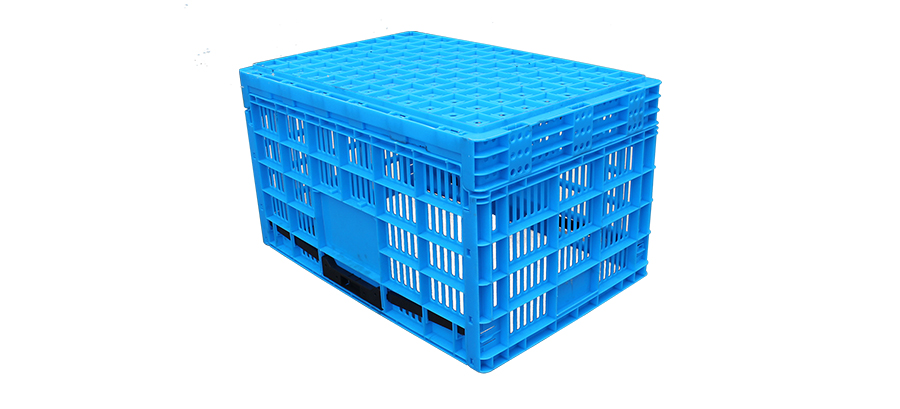 1321748307545459.jpg 1_03.jpg