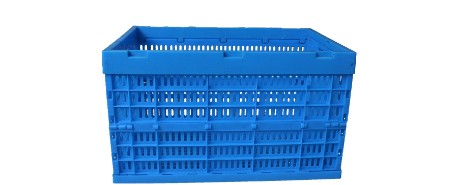 4731748312769918.jpg 1_02.jpg