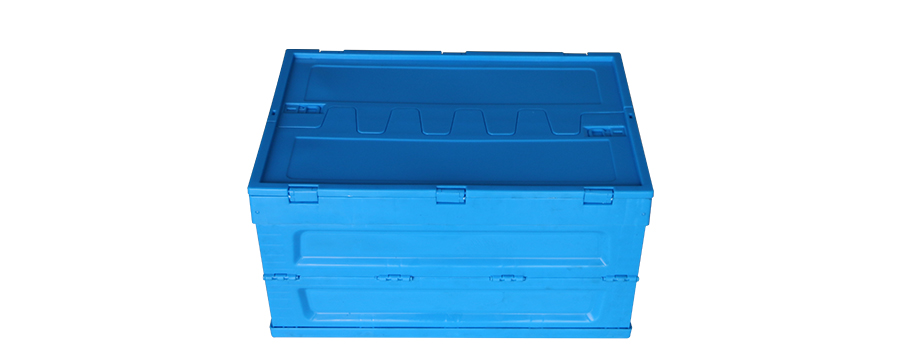 4831748311240920.jpg 1_02.jpg